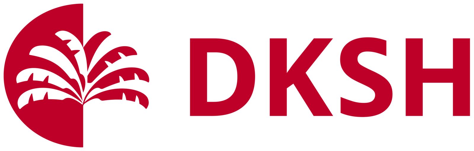 Large-DKSH_hori_red_rgb